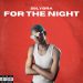 For The Night Artwork